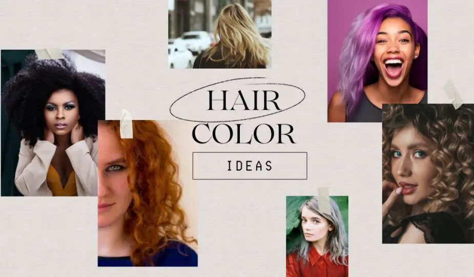An illustration of various hair colors for women